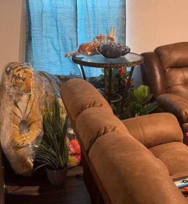 Jacinto City Apartment | Jungle Paradise close to everything in town