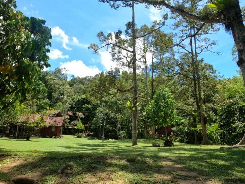 Bentong Other | Jungle Zen Janda Baik Campsite