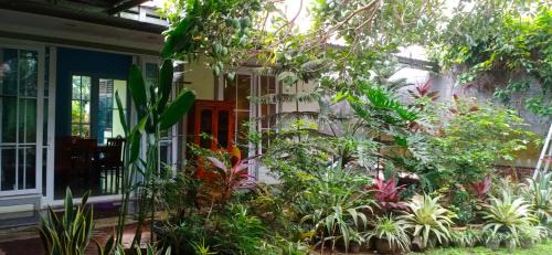 Songgom House | Kampung Guest House