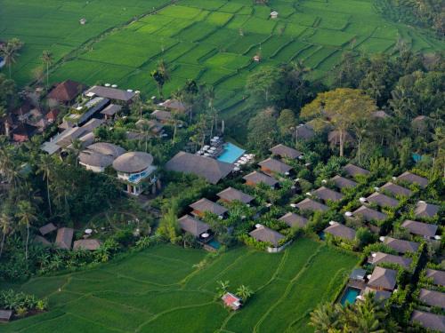 Kedewatan Resort | Kappa Senses Ubud