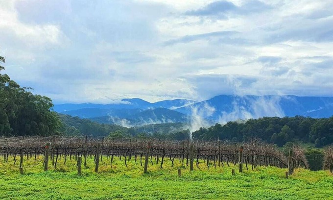 Gladysdale House | "KiNam Vinea" - A Farm Stay in the Yarra Valley