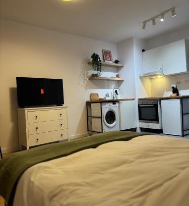 Kiseleff Apartment | Kiseleff Park Studio