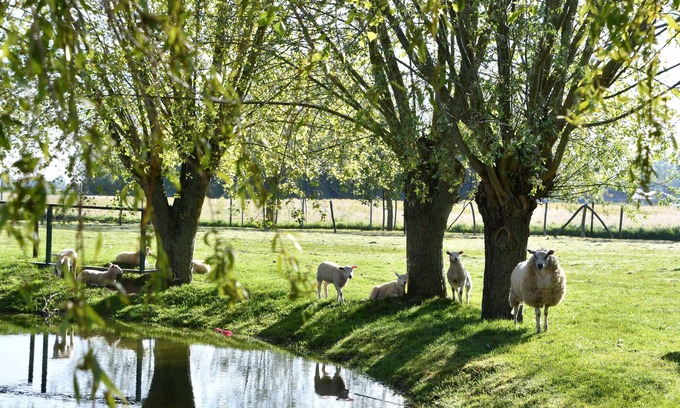 Stavele House | Knus Landelijk Verblijf!
