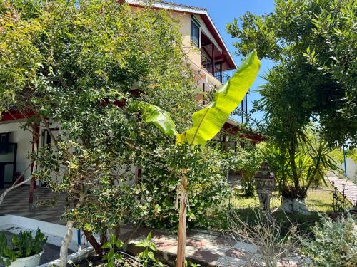 Evgiros House | Koala Place
