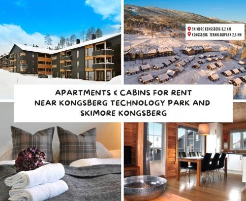 Kongsberg Apartment | Kongsberg Booking