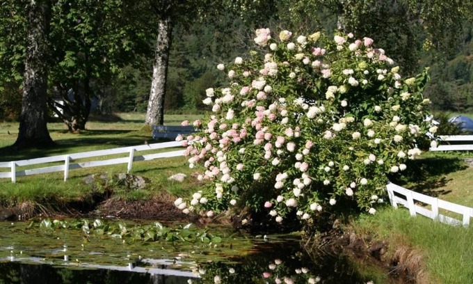 Lyngdal Hotel | Kvåstunet