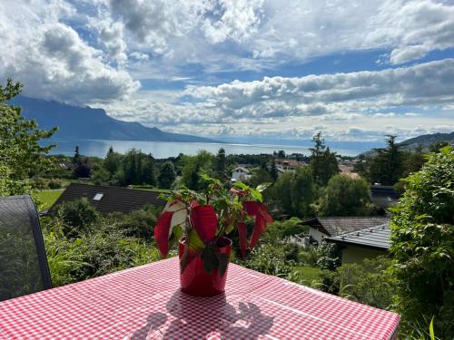 Saint-Legier-La Chiesaz Apartment | L'Appart Riviera vue panoramique