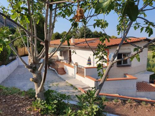 Caccamo House | L'Opuntia sul lago