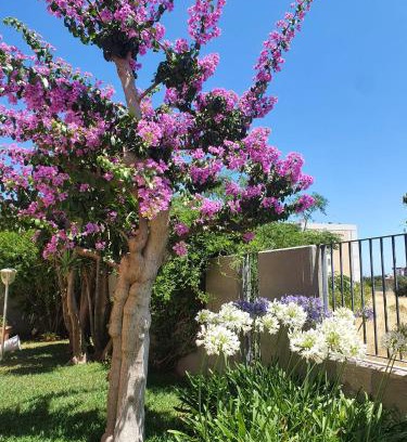 Mola di Bari Apartment | La Bouganville