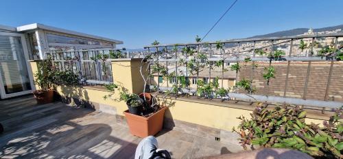Genoa Historical Centre Apartment | La Cabina del Capitano