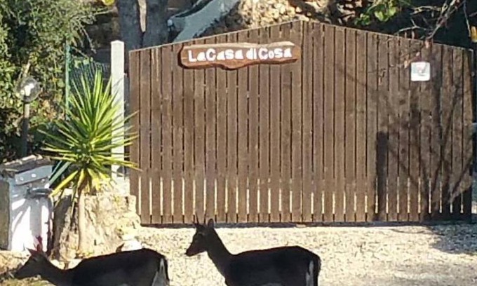 Ansedonia Bed & Breakfast | La Casa Di Cosa