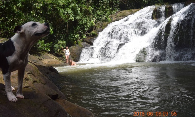 Platanillo Cabin | La Ceiba Ecoadventures
