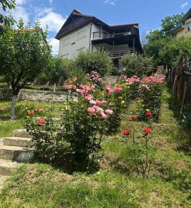 Merei House | La Colonelu