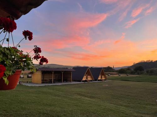 Seica Mare Other | La Fermă