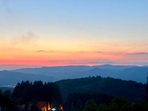 Jibert House | La Grumpy