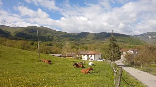 Piane di Mocogno Apartment | La Lissandra Agriturismo House