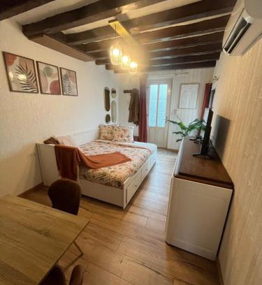 Romorantin-Lanthenay House | La maison du 122