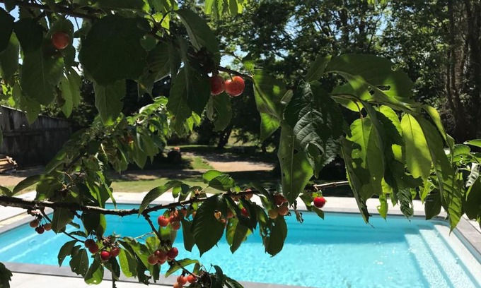 Villefranche-d'Albigeois Apartment | La Merise Gite
