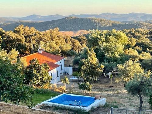 Aracena House | La mimosa