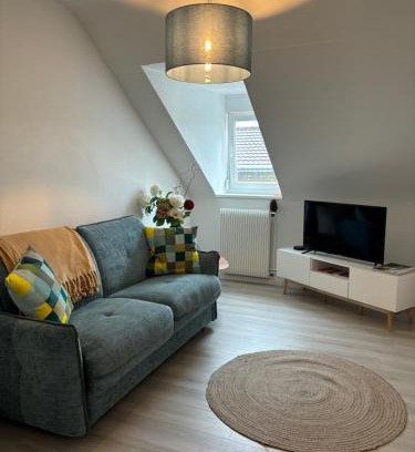 Mulhouse Apartment | La Mulhousienne F3 Centre ville