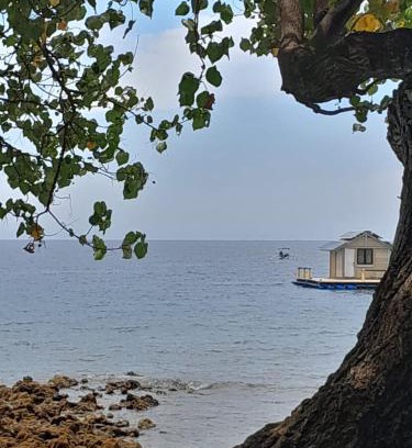 Pemuteran Bed & Breakfast | La Paparrucha Bali