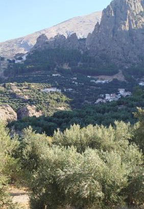 Tiscar House | La parrilla