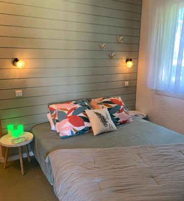 Bielle Apartment | La Suite Unique - Le jardin sur les Pyrénées- vue panoramique montagne -jardin clôturé privé de 100m2-Parking-Linge de lit et serviettes compris-