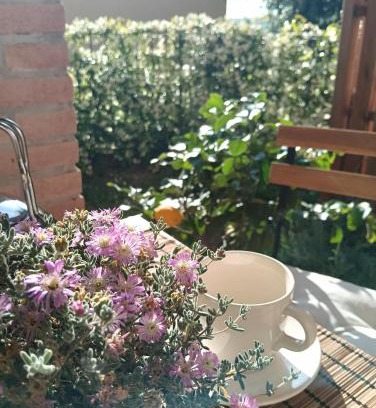 Montescudaio Apartment | La tana del riccio