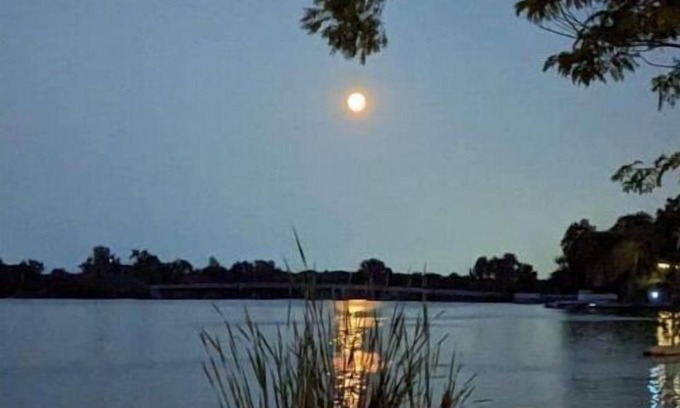 Solon Mills House | Lakefront Comfy 1BR Cabin @ The Lake-Heim by Chain-O-Lakes