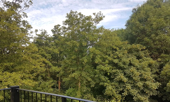 Southampton Apartment | Lakeview Apartments and Rooms