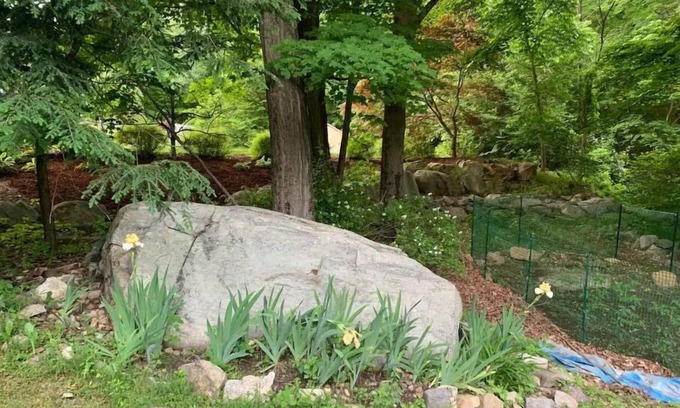 Hibernia Apartment | Large 900 sf luxury property in the nature