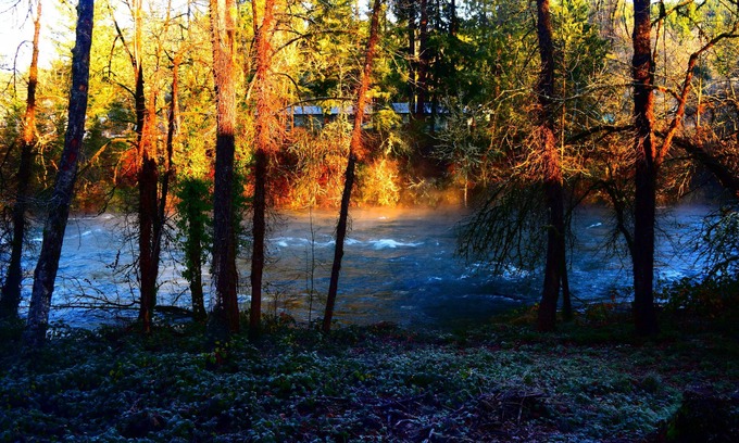Mill City House | Large Family Friendly House on the Santiam River w/Hobbit Door!