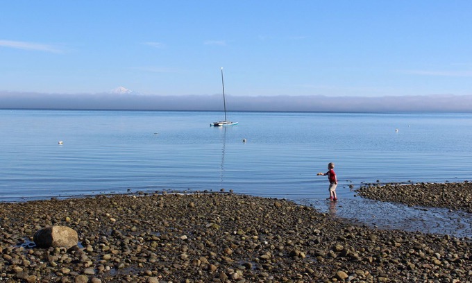 Point Roberts House | Large Vacation House near Tsawwassen 25 min to YVR