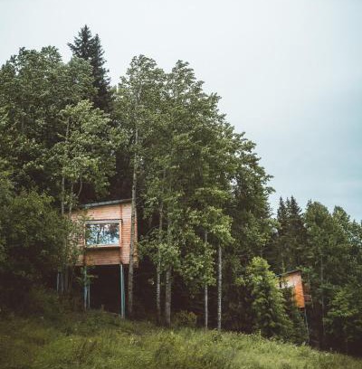 Tangen Villa | LAUV Tretopphytter