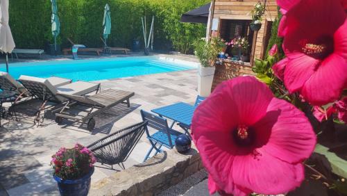 Compeyre House | Le Mas ROLLAND, Piscine chauffée & SPA - Millau - Gorges du Tarn