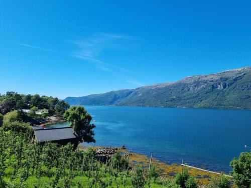 Ullensvang Apartment | Leilighet v Hardangerfjorden