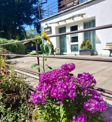 Cisna Bed & Breakfast | Leonówka Bieszczady