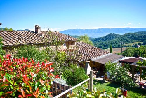 Greve in Chianti House | Lionforti Da Vico