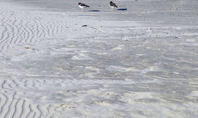 Praia do Sonho House | Little house in the back of Madruga's residence