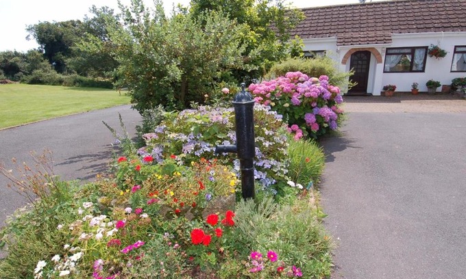 Dawlish House | Little Waycroft
