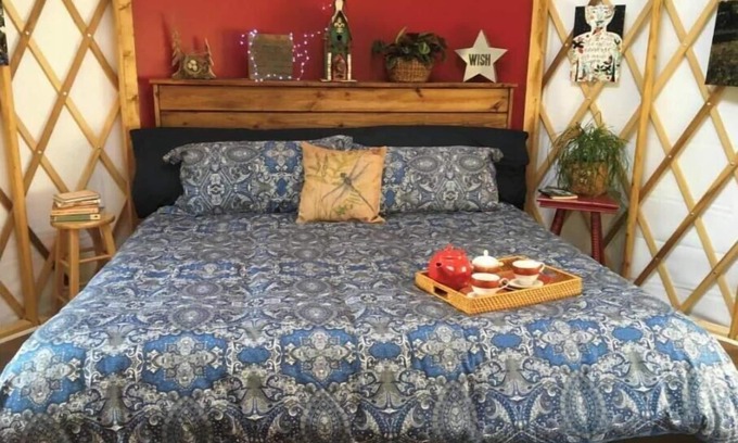 Candler Cabin | Littlest Acorn - Yurt 5