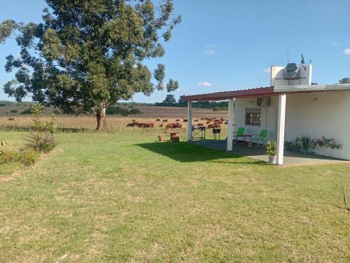 Federacion House | Lo Pituco casa de campo