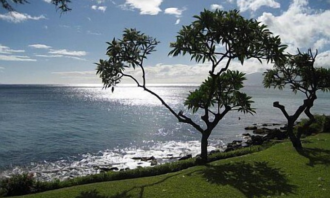 Kahana Condo | Located Directly on the Oceanfront with Spectacular Views