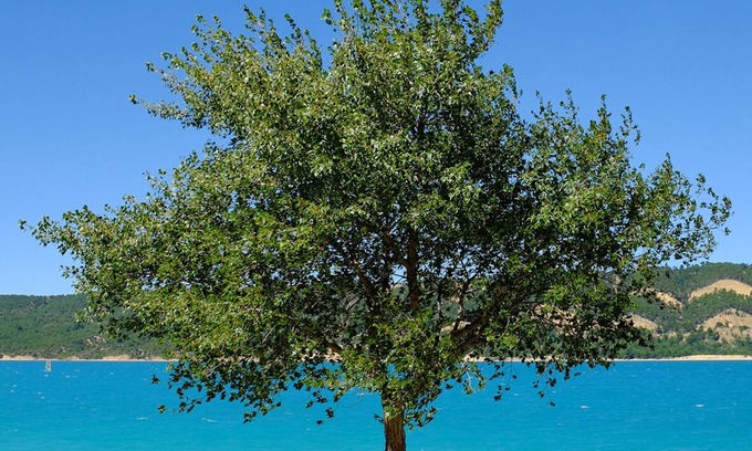 Les Salles-sur-Verdon House | Location Climatisée 1er Étage Avec Espace Extérieur.2 Pers.500m du Lac Ste Croix