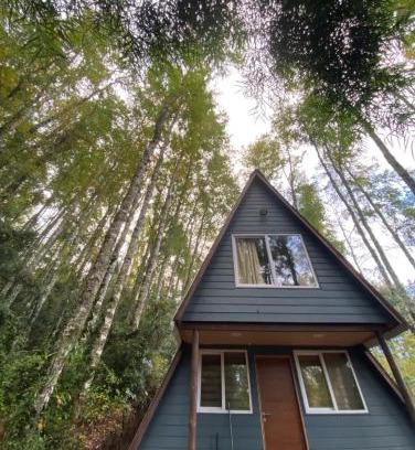 Villarrica Ski Chalet | Lodge kumelka