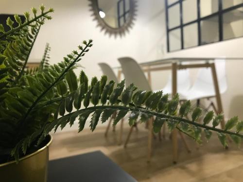 Jaen House | Loft Nature en Bernabé Soriano