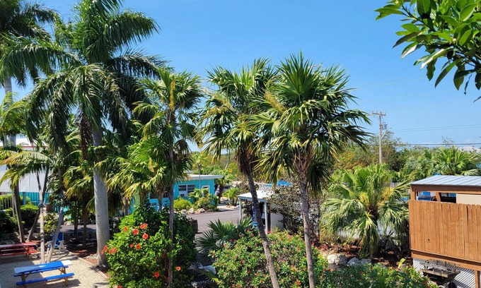 Ramrod Key Hotel | Looe Key Reef Resort