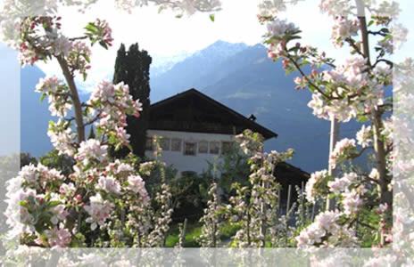 Schenna Apartment | Lothof