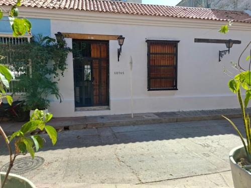 Barrio Centro Hotel | Lotus Centro HIstorico