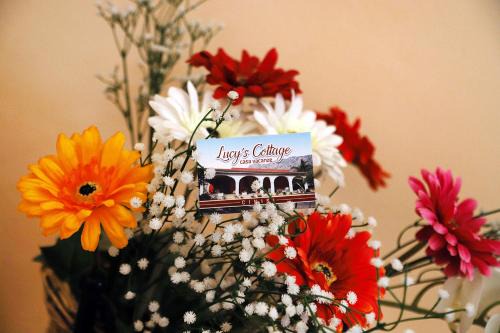 Cinisi Villa | Lucy's cottage